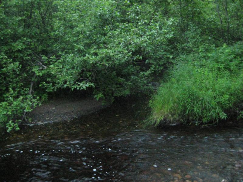 Mouth of Harley Creek