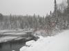 Snowy upper swamp
