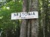 Abused sign for Nestoria