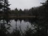 Another pond, this one bigger and darker