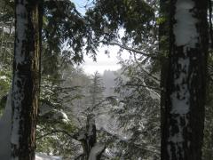 Looking down the cold valley