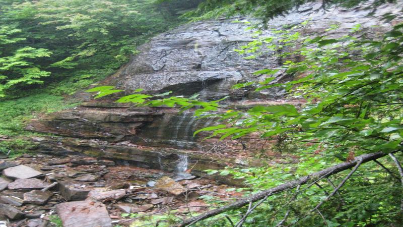 Rain-wet main falls