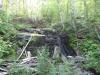 Stacks of mossy, trickling rock