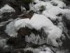 Snow and ice covered boulders
