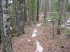 Looking down the narrow trail
