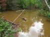 Treacherous muddy ponds