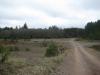 A bleak gravel pit