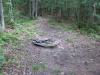 Small campsite with a fire ring
