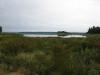 Looking over the reservior