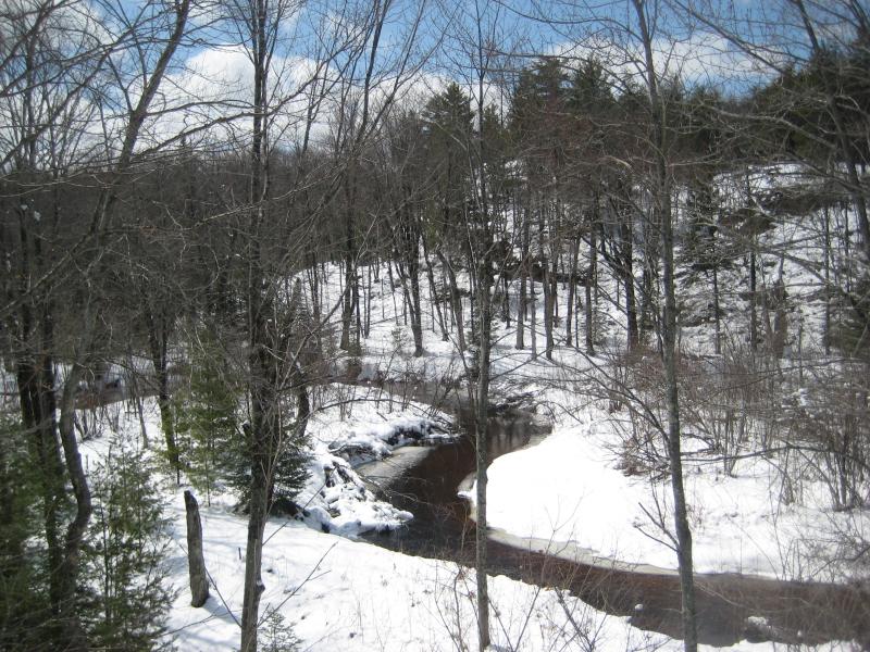 Calm, winding river