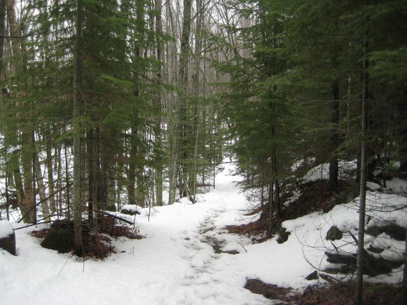 A snowy, sodden path