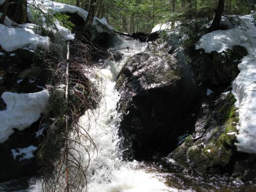 Rocky chute on Little Pup Creek