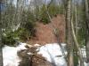 Steep earthy bank on the creek