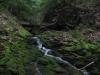 Green mossy creek