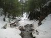 Up the snowy creek