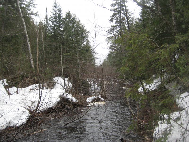 A full Cliff River