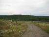 Open clear cut facing Arvon
