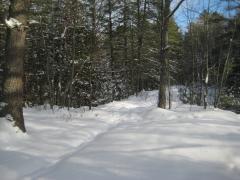 Fluffy snow along the path