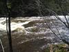 A full brown river