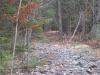 Looking up the railroad grade