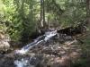 Water dropping over the log