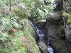 Multiple plunges down the mossy rock wall