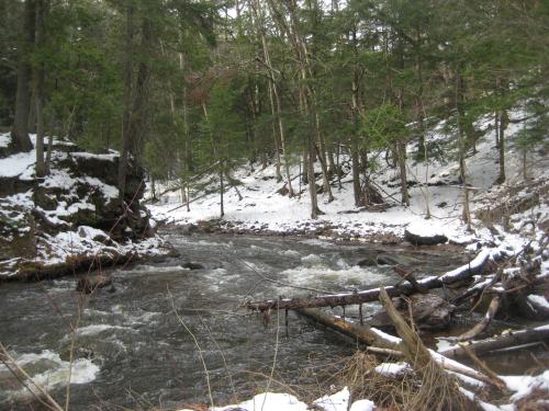 Sharp bend on the river