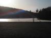 Deer on the frozen McClure Reservoir