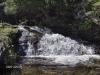 One of many plunges on Falls River