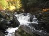 Some fall colors around the river