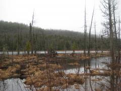 South of Arvon Mountain