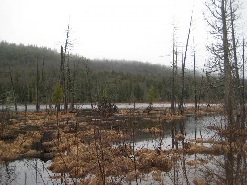 South of Arvon Mountain