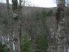 Across the Carp River Valley