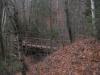 Bridge in the woods