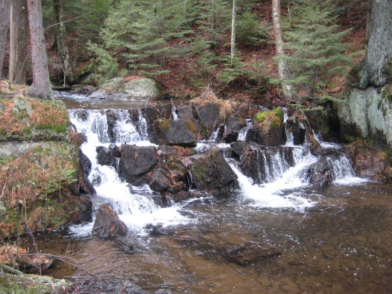 Small blocky drop on Morgan Creek