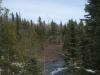 Looking down along the swamp