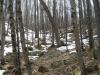 A long, soggy climb back up