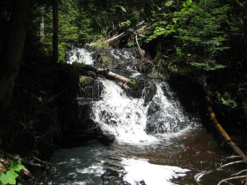 Nealy Falls