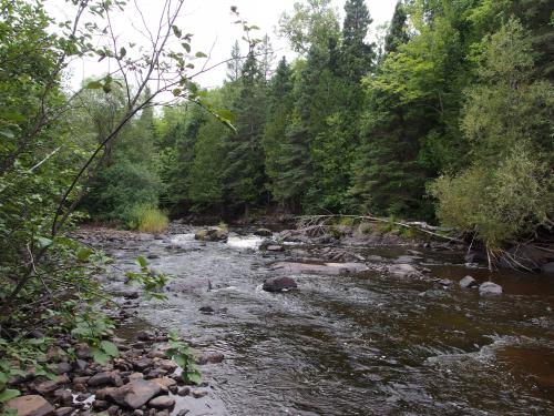 Upstream rapids
