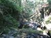 Narrow little box canyon