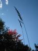 Deep blue sky