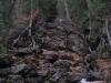 Dark, leaf covered rocks