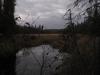 Dark waters