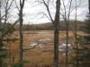 Open stretches of water in the swamp