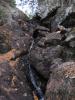 Trickling drop below the swamp