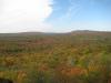 Fall colors on western hills
