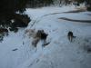 Logan bravely testing out the ice