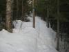 Well-trod snowshoe path out