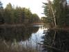 Fall colors around the pond