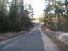 Springtime on Baraga Plains Road